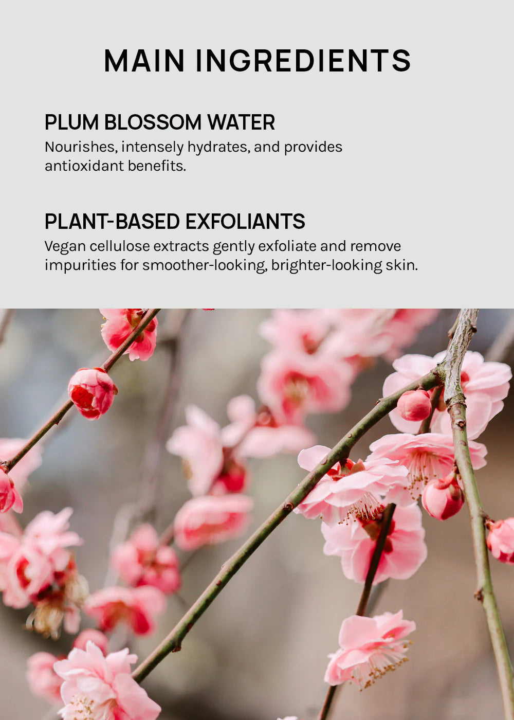 Peelingový gel Beauty of Joseon Apricot Blossom, 100ml
